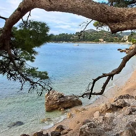 Lägenhet Dubrovnik-sea View Mlini